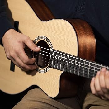 Amazon.co.jp: Martin Classical Nylon Guitar Strings M160